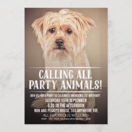 INVITACIÓN LA FOTO DEL FIESTA DEL PERRO DE PERRITO DEL