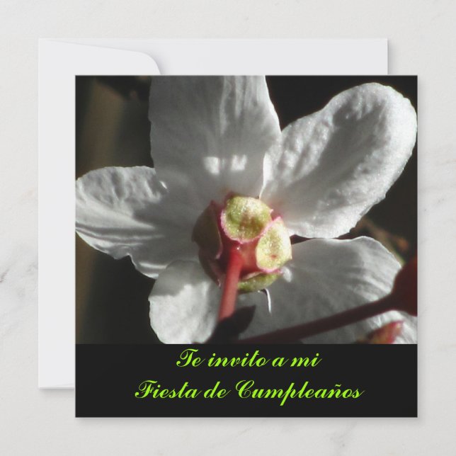 Invitación - La invitación a mi Fiesta de cumpleañ (Anverso)