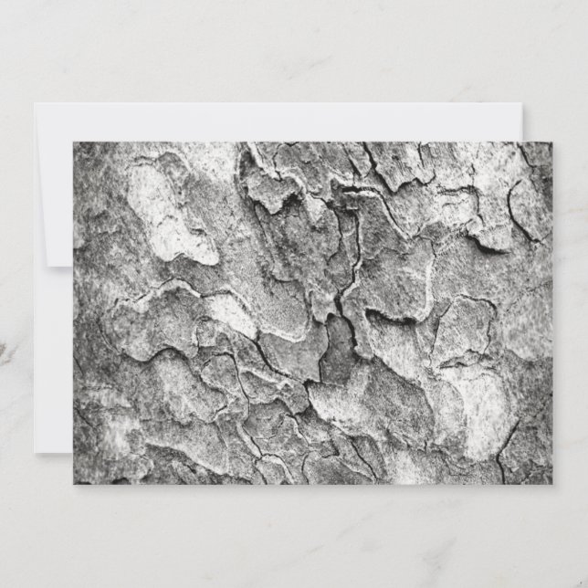 Invitación La naturaleza aquí (Anverso)