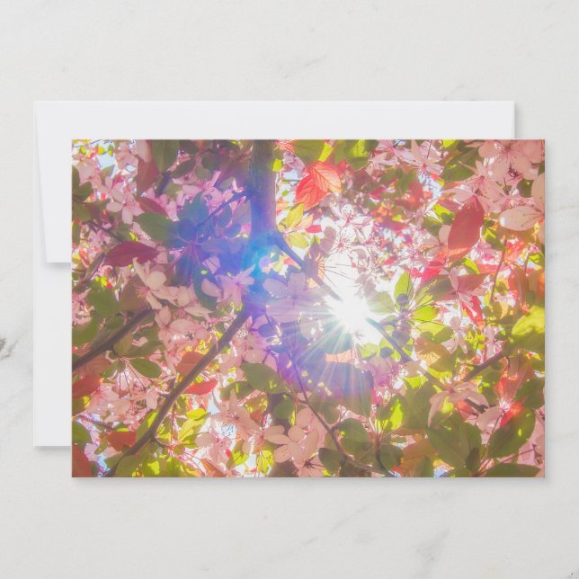 Invitación La naturaleza florece flores floración luz sol (Anverso)