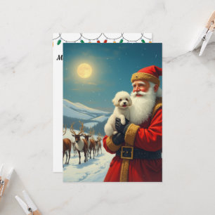 Invitación La pérdida de un perro mascota en navidad