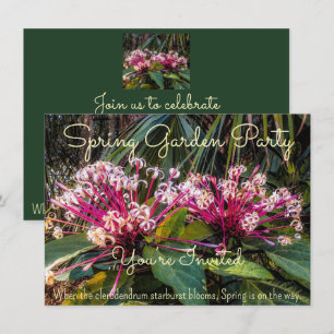 Invitación La primavera está llegando.