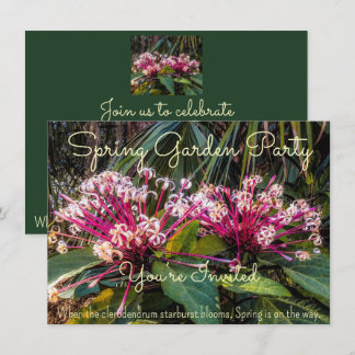 Invitación La primavera está llegando.