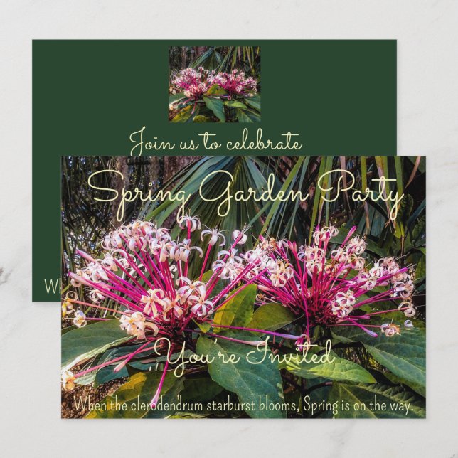 Invitación La primavera está llegando. (Anverso / Reverso)