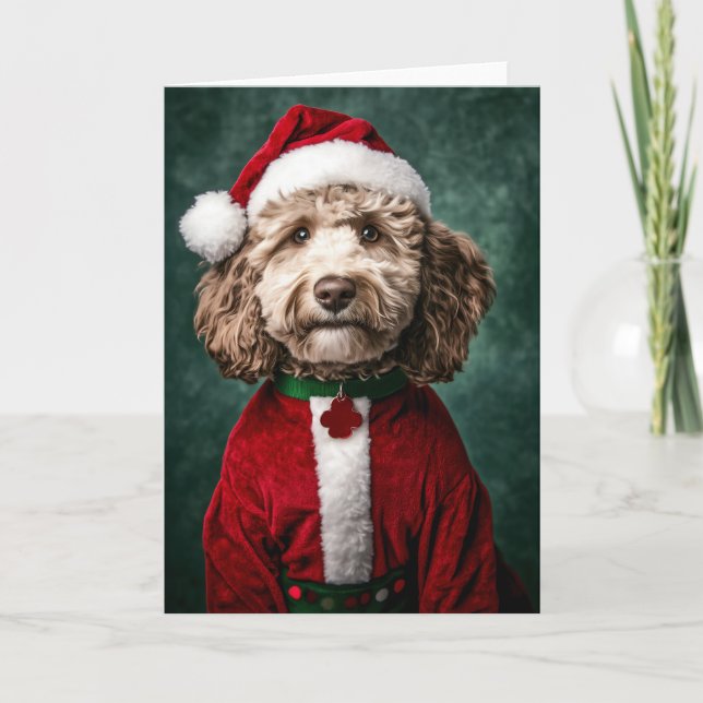 Invitación Labradoodle en traje de Navidades festivos (Anverso)