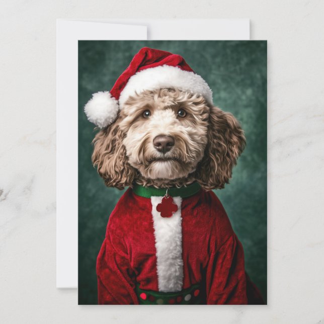 Invitación Labradoodle en traje de Navidades festivos (Anverso)