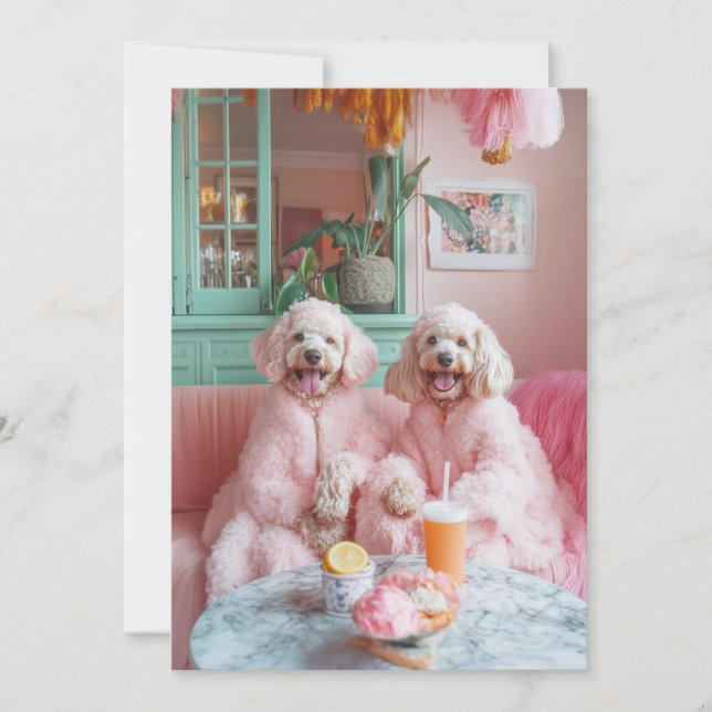 Invitación Labradoodles de moda en salón rosa (Anverso)