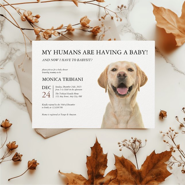 Invitación Labrador amarillo recuperador de Baby Shower Minim (Yellow Labrador Retriever Baby Shower Funny Invitation)