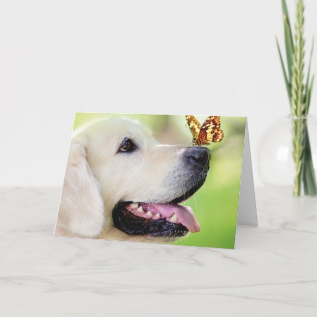 Invitación Labrador And Butterfly Throw Pillow (Anverso)