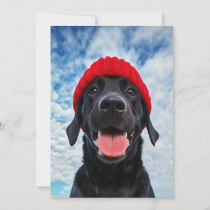 Invitación Labrador feliz en una Beanie Roja bajo un cielo az