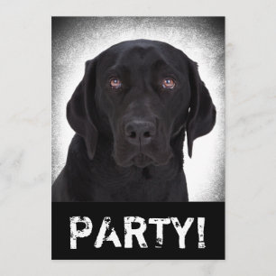 Invitación Labrador retriever