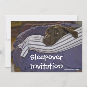 Invitación Labrador Retriever en la cama