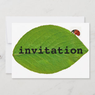 Invitación Ladybug
