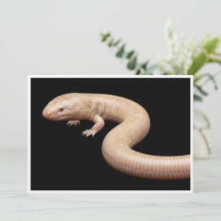 Invitación Lagarto topo mexicano aislado sobre fondo negro