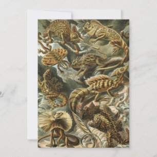 Invitación Lagartos por Ernst Haeckel Lacertilia Animal Vinta