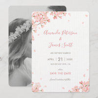 Las flores de cerezo japonesas rosadas de Sakura