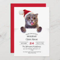 Lengua de Navidades de gato