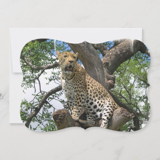 Invitación Leopardo (Anverso)