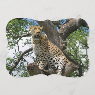 Invitación Leopardo