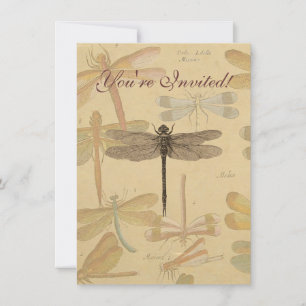 Invitación Libélula Vintage Antigua Clásica Naturaleza