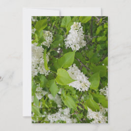 Invitación Lila blanca