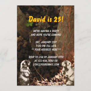 Invitación linda de la fiesta de cumpleaños de