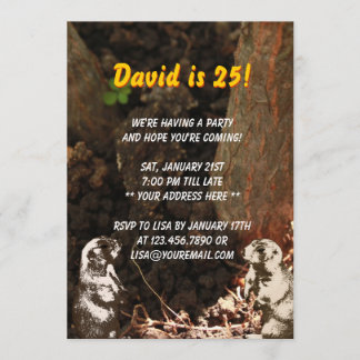 Invitación linda de la fiesta de cumpleaños de