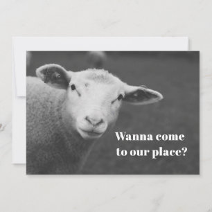 Invitación linda de Pésaj