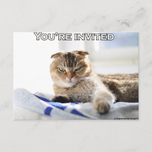 Invitación linda del gato para un fiesta
