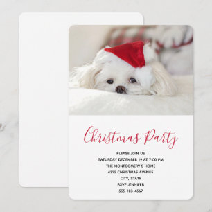 Invitación Lindo perro blanco con un sombrero rojo de Navidad