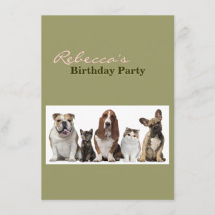 Invitación lindos amigos de gatitos cortos de pelo bulldog