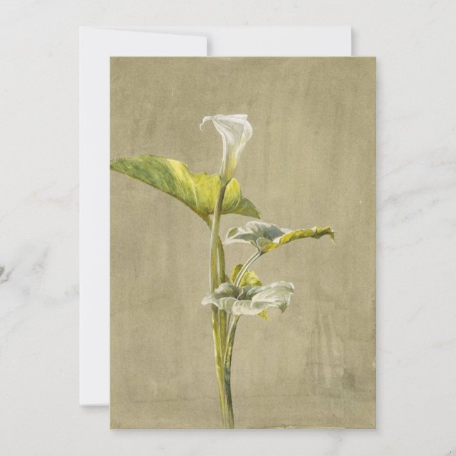 Invitación Lirio Calla de Fidelia Bridges (Anverso)