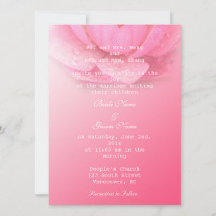 Invitación lirio rosa con fondo rosa. 粉 红 色 睡 莲