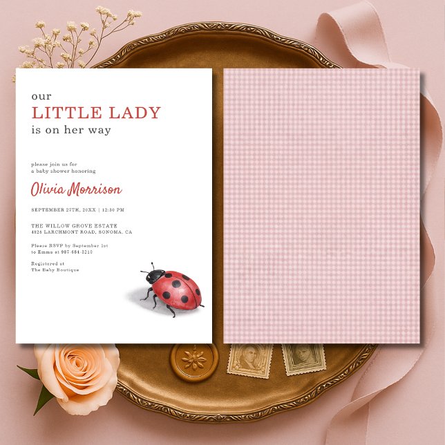 Invitación Little Lady Ladybug Gingham Baby Shower (Subido por el creador)