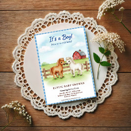 Invitación Little Pony Baby Boy Shower Gingham Invitation