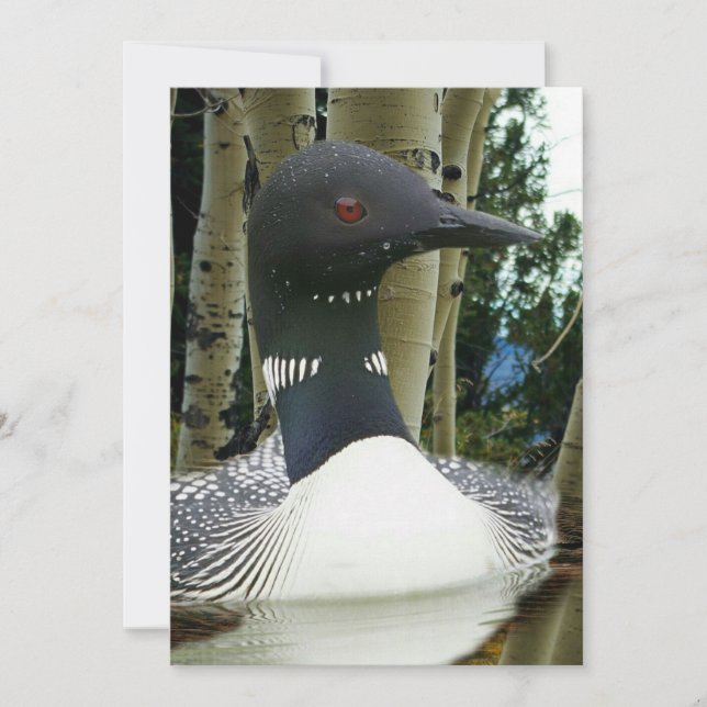 Invitación Loon Wilderness (Anverso)