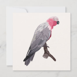 Invitación Loro rosa dibujado a mano, ave tropical.