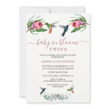 Los gemelos Hummingbirds Protea Baby en Bloom