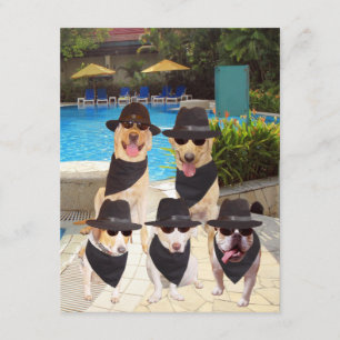 Invitación Los perros divertidos adaptables/laboratorio de