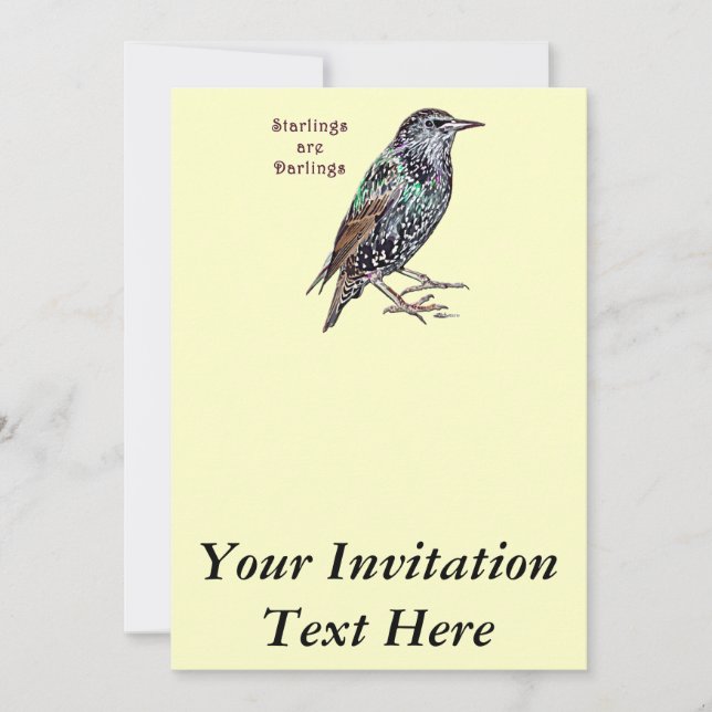 Invitación Los Starlings Son Darlings (Anverso)