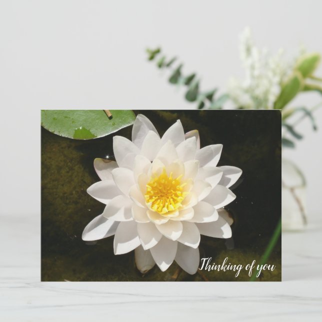Invitación Loto de Nenúfar Blanco Flotante (Anverso de pie)