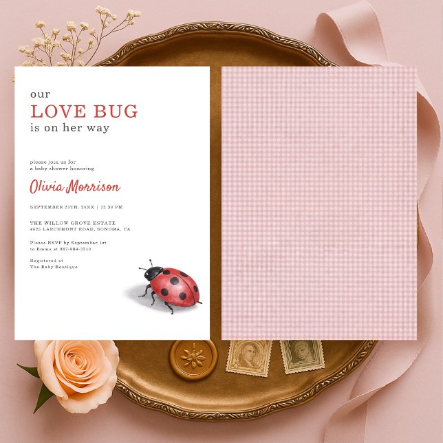 Invitación Love Bug Ladybug Gingham Baby Shower (Subido por el creador)