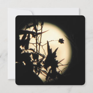 Invitación Love in the Moonlight shimmer