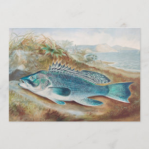 Invitación Lubina por S.A. Kilbourne, Pescado Antiguo