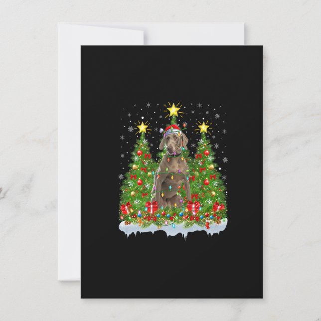 Invitación Luces de Navidad Perro Weimaraner Santa Weimaraner (Anverso)