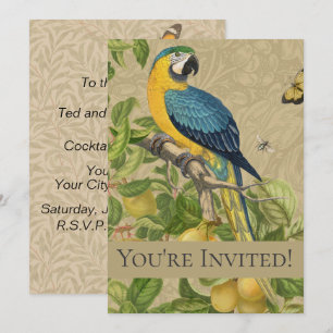 Invitación Macaw Blue Yellow Tropical Jungle Antigüedad
