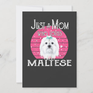 Invitación Madres de Maltés Solo Una Mamá Perro Que Ama a Las