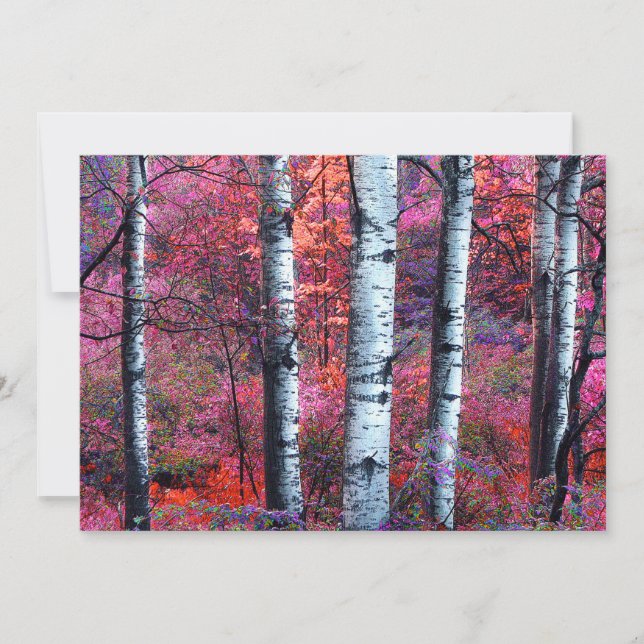 Invitación mágica del fiesta del solsticio de (Anverso)