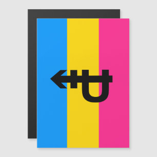 Invitación Magnética Bandera de Orgullo Pansexual