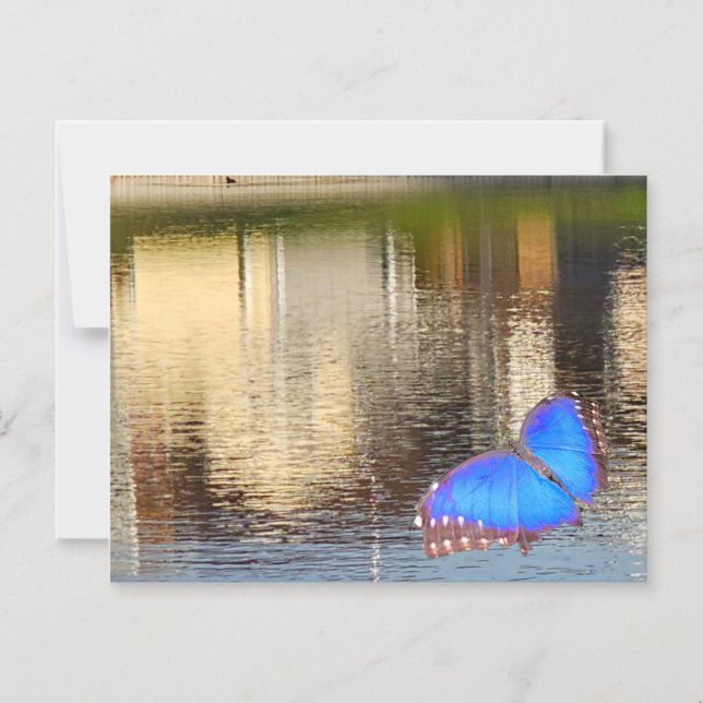 Invitación Magnética Blue Wing Reflection (Anverso)